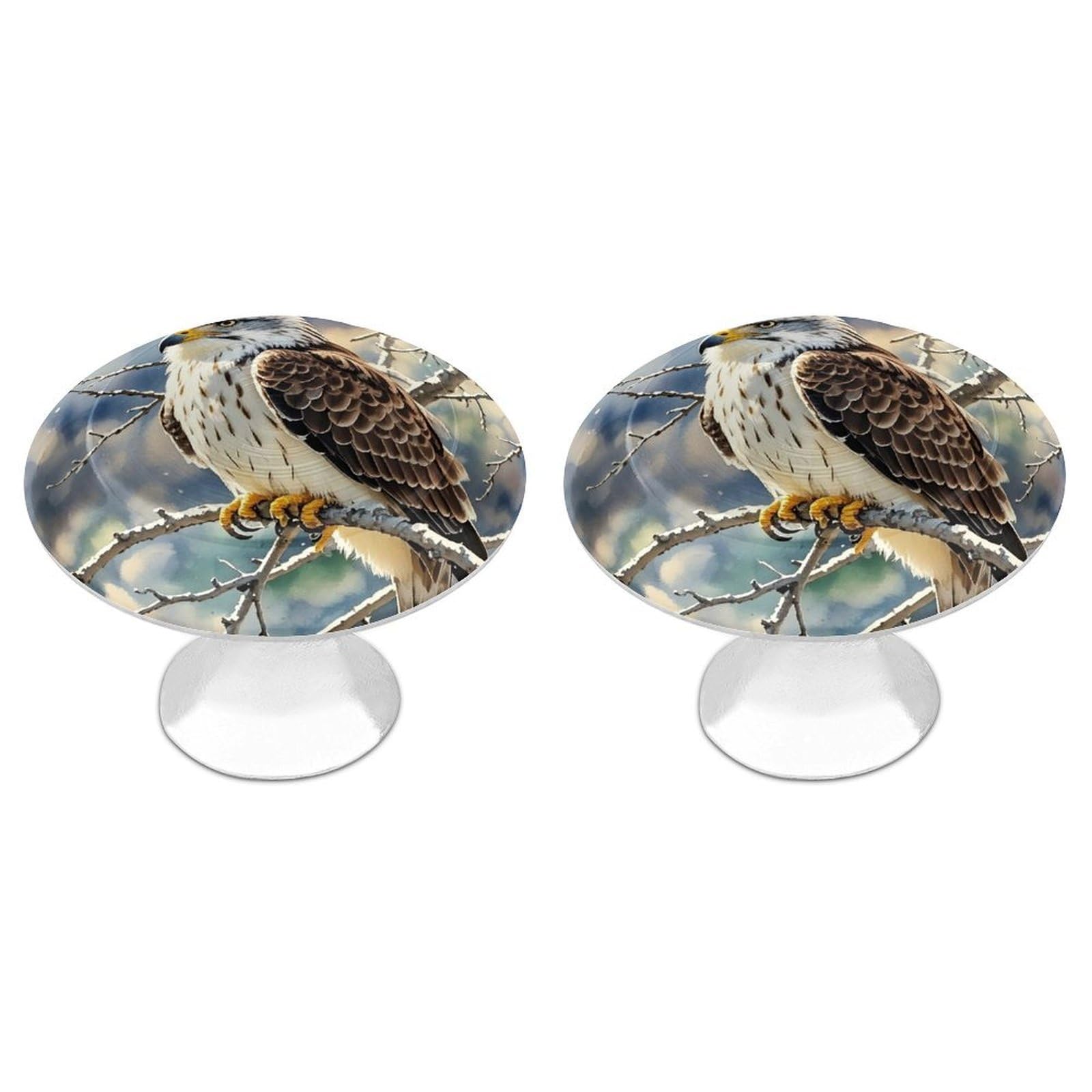 FekiLoot Round Cabinet Knob 2 Pack Kitchen Drawer Knobs Stainless Steel Round Drawer Pulls Modern Cabinet Hardware Hawk Drawer Hardware for Dresser Closet Door Knobs