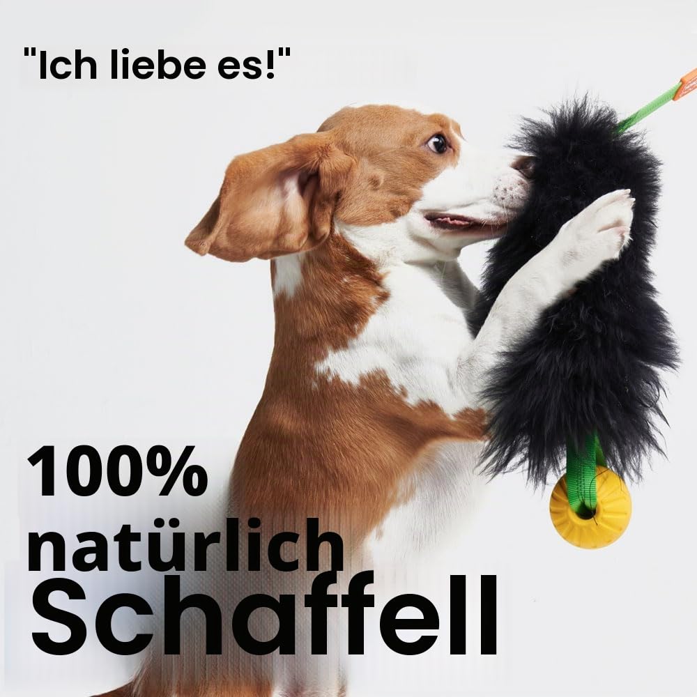 HOWGO Bungee-Chaser-Spielzeug für Hunde, 100% Schaffell, Bungee-Chaser-Spielzeug, Seil-Fogy, Zerrspielzeug für alle Rassen