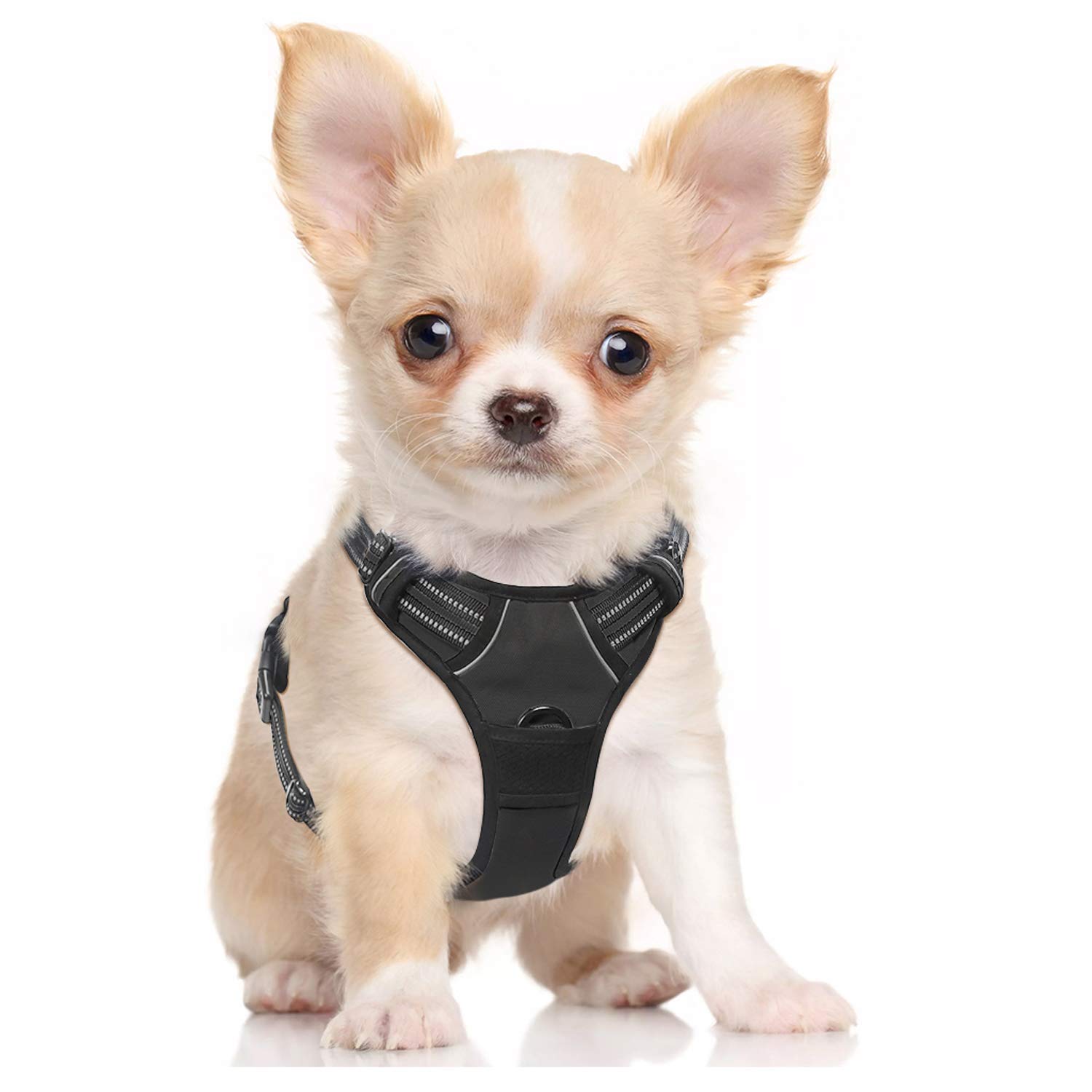 Pets Empire Dog Cat Harness No-Pull Pet Harness Adjustable Outdoor Pet Vest Reflective Oxford Material Vest for Dogs Easy Control (Color May Vaey) (Small) (B09H49J9KJ) Amazon Price History, Amazon Price Tracker