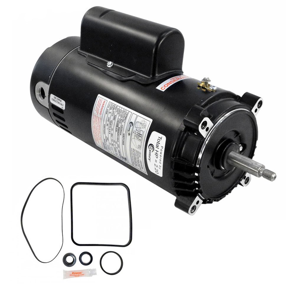 Puri Tech Century Electric UST1202 2-Horsepower Up-Rated Round Flange Replacement Motor (Formerly A.O. Smith)
