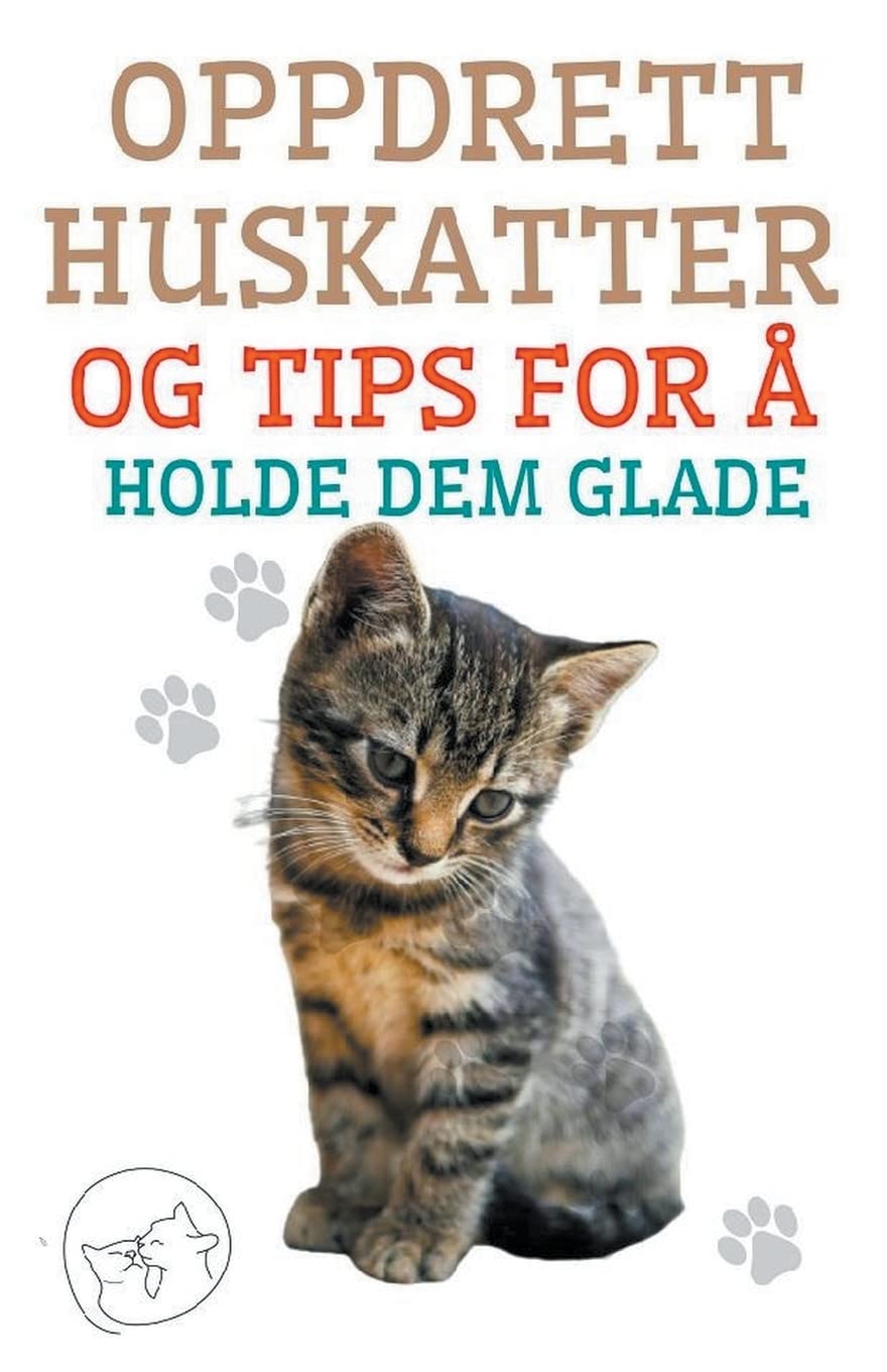 Oppdrett Huskatter og Tips for å Holde dem Glade