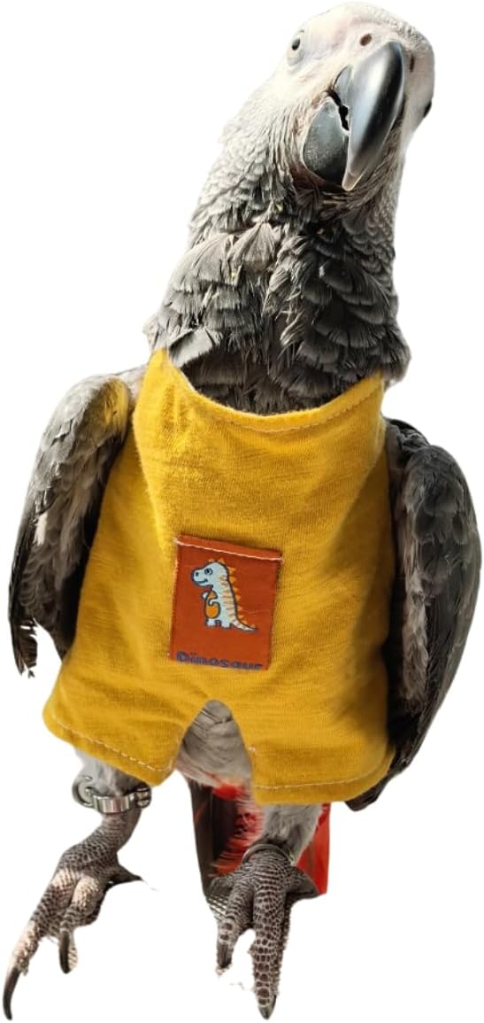 Bird Clothes - Cute Yellow Romper for Parrots African Greys Parakeet Cockatiel Conure Christmas Party Birthday Cosplay Photo Gift Parrot Apparel Bird Supplies (L)