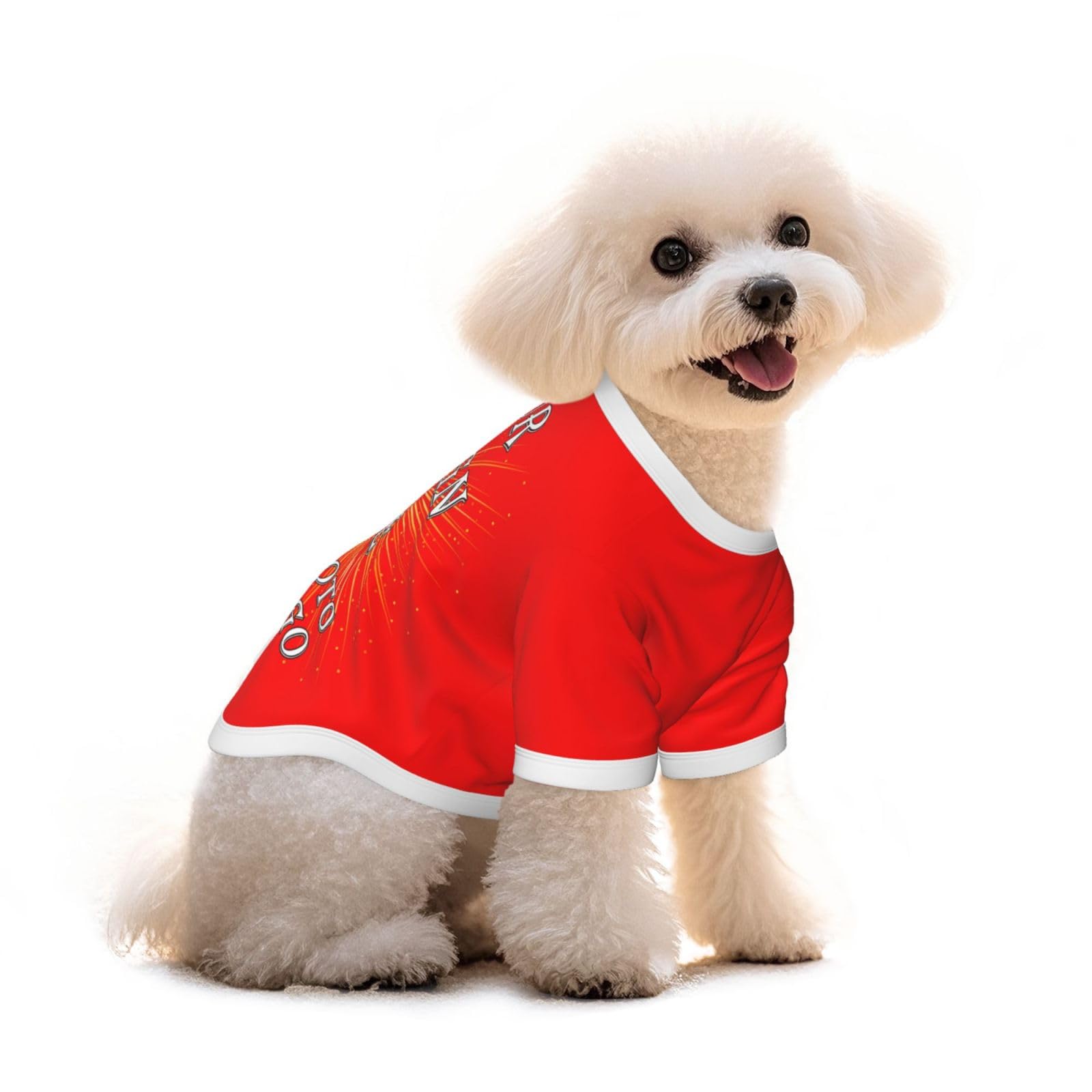 Custom Dog Coat T-Shirt – Personalized Pet Clothes with Text/Logo/Image, Small Dog Vest, Puppy Outfit, Unique Gift S
