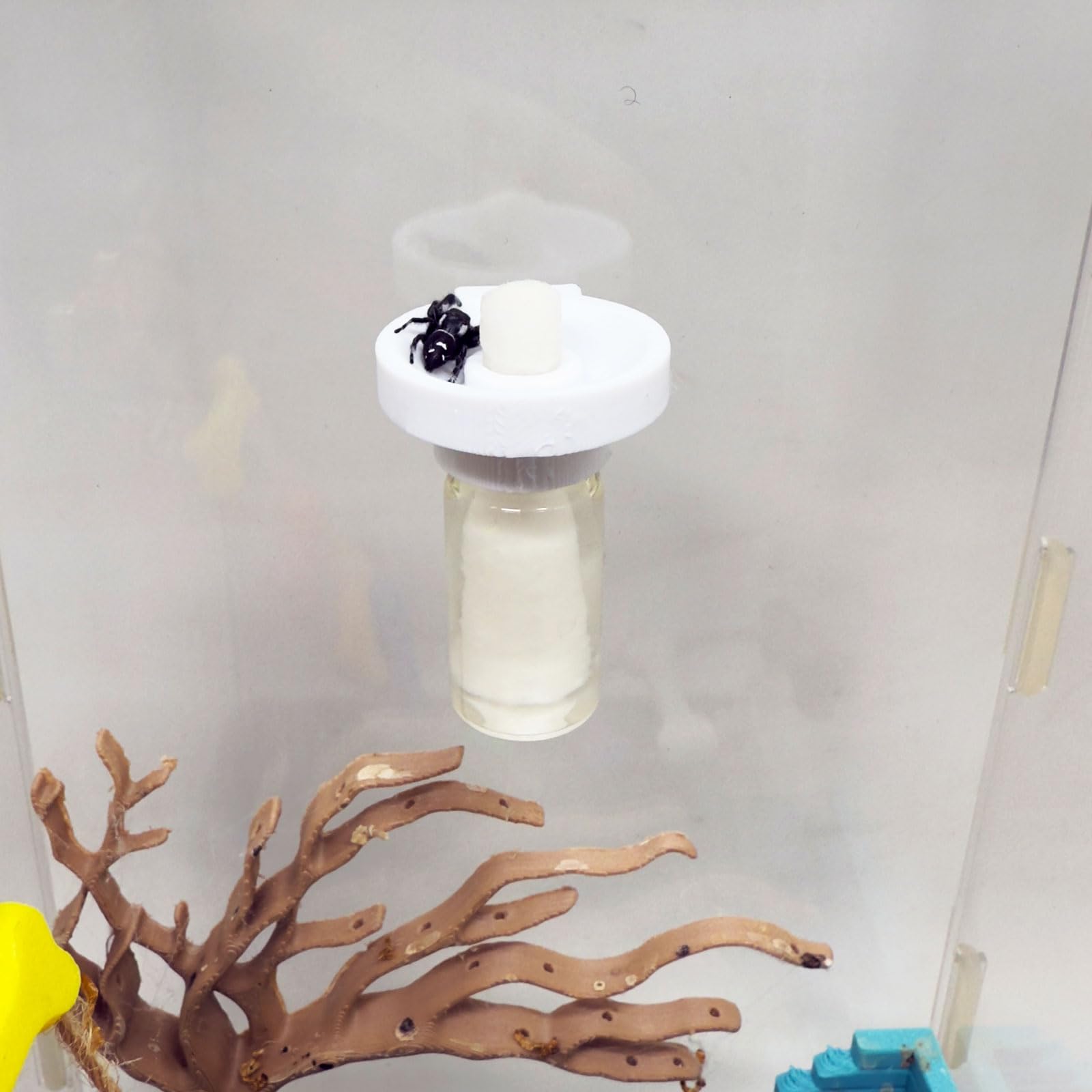 Jumping Spider Water Dispenser, Magnetic Hanging Feeder,Suitable for Jumping Spiders,Tarantulas, Praying Mantises,Arboreal Animals, and Other Small Animal Enclosure Accessories (White, 5ML)