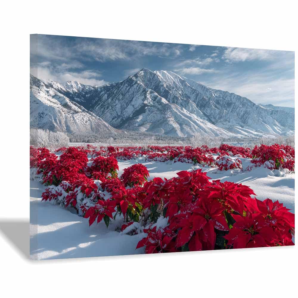 Hoqiu Multicolor Flowers Canvas Poinsettia Winter Mountain Views Artwork, Wall Decoration Living Room Bedroom Hallway Stairs Decoration.(Multicolor)-30X40cm Framed
