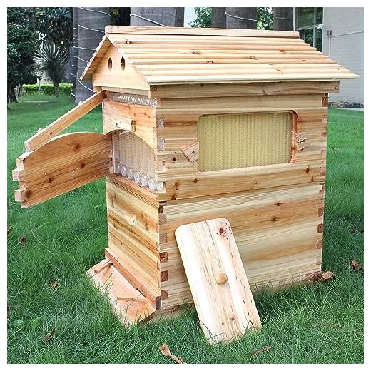 Golden Palace Auto Flows hive Beehive 7pcs Flows Frame Super Box Free Flows Frame (Outer hive 7pcs Flows Frame Set)
