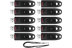SanDisk Ultra USB 3.0 Flash Drive (16GB) Bundle with GoRAM Lanyard (10 Pack)