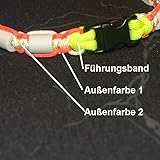 Pfoetchen-Welt Premium EM-Keramik Hundehalsband. Jetzt auch mit Namen. Menge an EM-Keramik wählbar. Infotelefon 017682042883