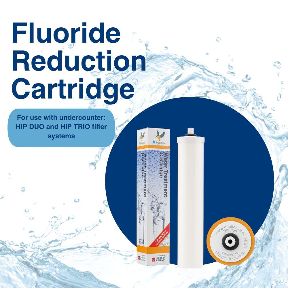 Doulton 10" Fluoridreduktionskartusche | 1er-Pack | Keramik-Kerzenfilter für Trinkwasser | 1/4“ BSP-Gewindeanschluss | Für Duo- und Trio-Untertischsysteme | Reduziert Verunreinigungen | 9B04