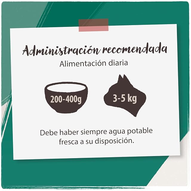 Foto 5 de 6 de VenandiAnimal Comida de Calidad para Gatos