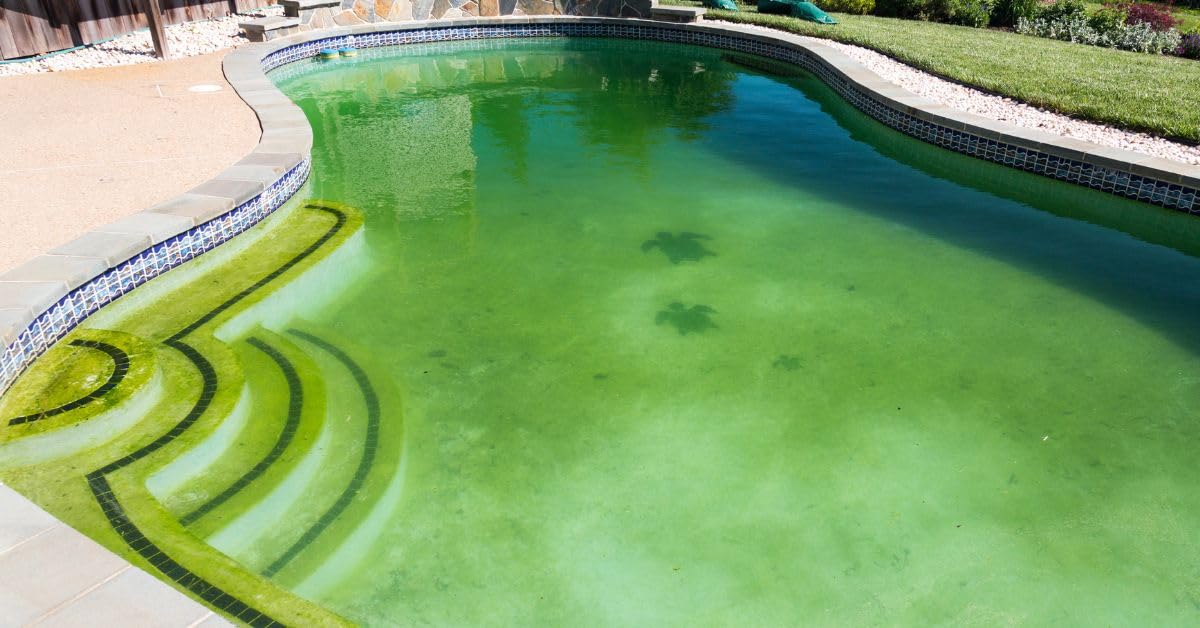EDG - Super Anti Algues Piscine - Action Curative Anti Eau Verte et Eau Trouble - Effet Algicide - Bidon 5 litres - EDG by AQUALUX International