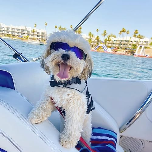 Miniatura 5 de NAMSAN Gafas de sol para perros pequeños, con protección UV, ajustables, fáciles de usar, resistentes al viento, para motocicleta, cachorros (azul