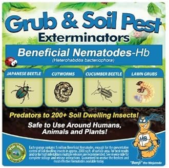 5 Million Live Beneficial Nematodes Hb - Soil Pest Exterminator