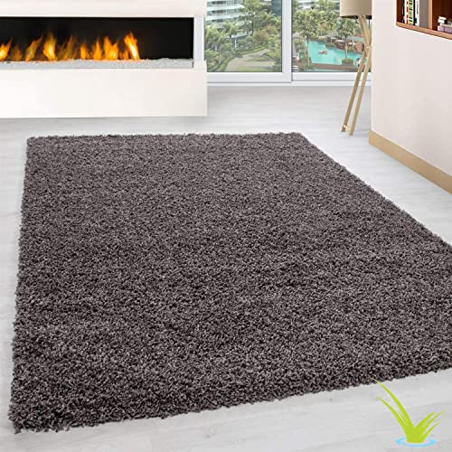 Wadan 120x170cm Taupe Shaggy Rugs Living Room |5mm Thick Pile | Extra Large Small Medium | Rectangular Size | Soft Touch | Living Room Area Rugs | Non Shedding