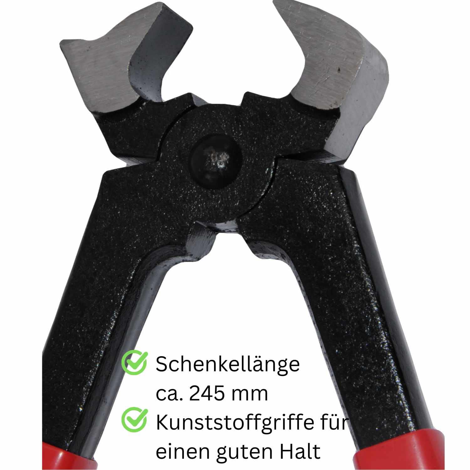 Amesbichler AMKA - Pinza per zoccoli con rivetto, 30 cm, per la cura degli artigli
