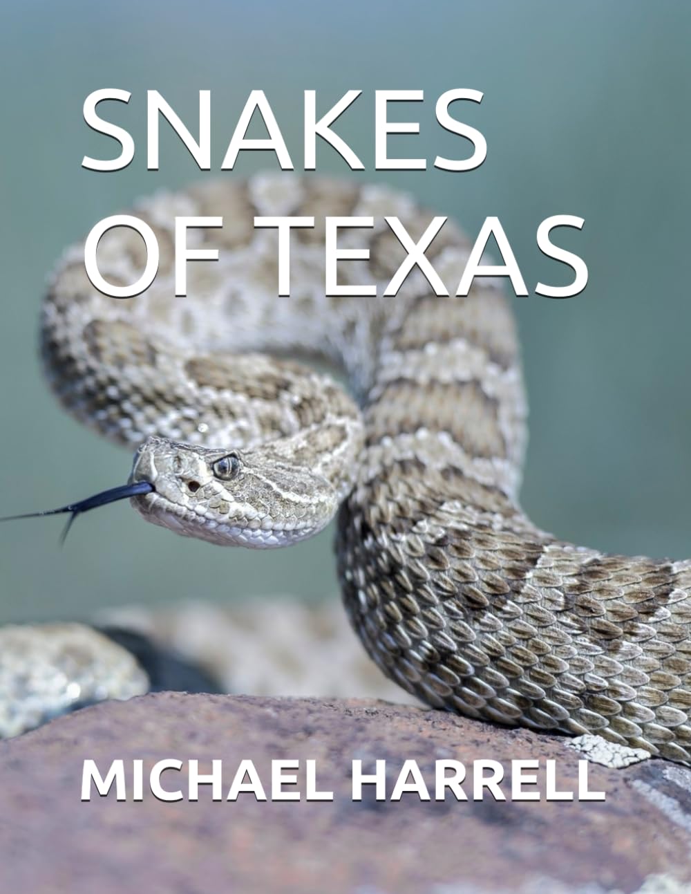 SNAKES OF TEXAS (Wildlife of North America and other educational books.)