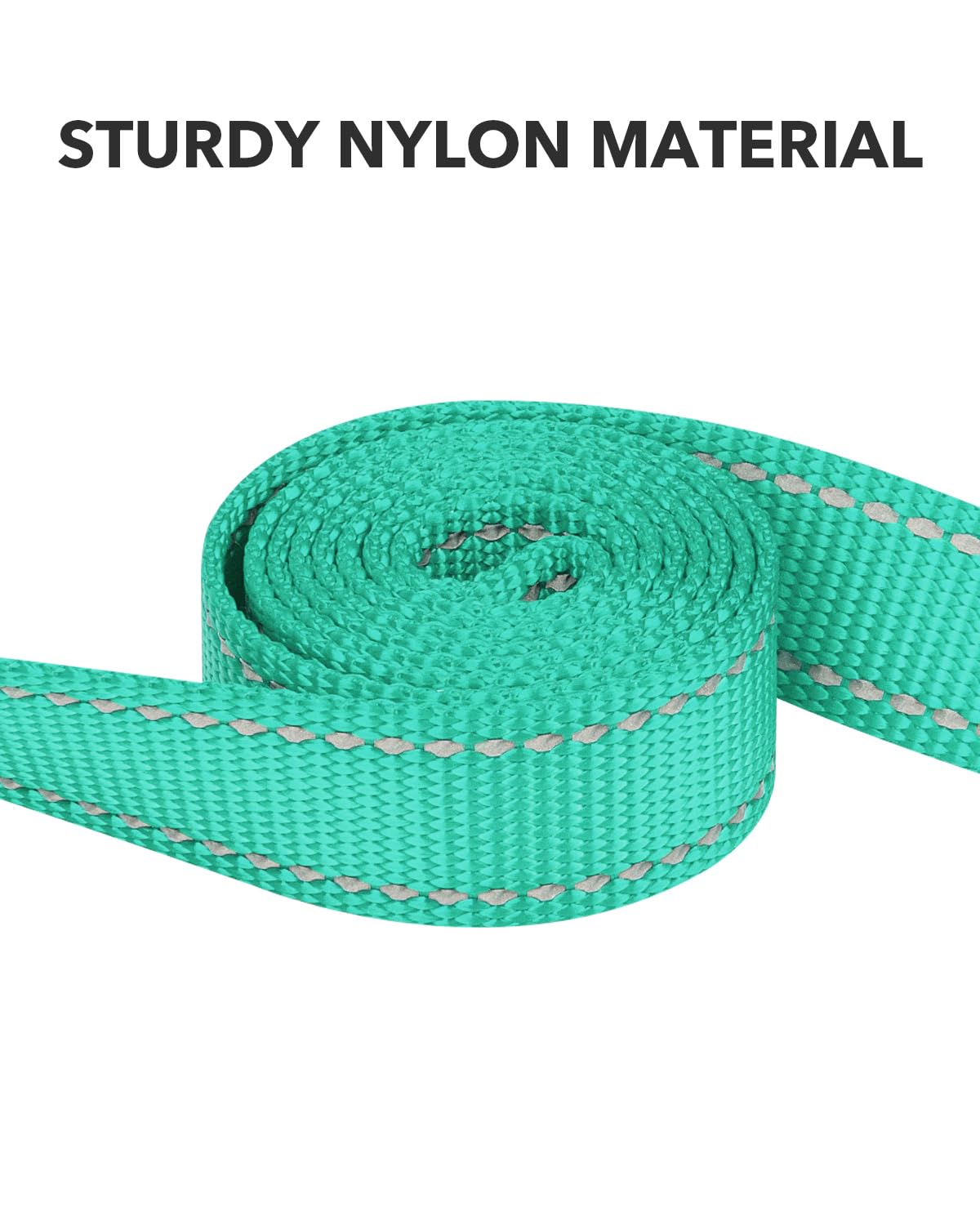 Taglory Guinzaglio per Cani Riflettente con Manico Imbottito e Gancio in Metallo, Nylon Resistente Addestramento Cane Guinzaglio, 1.8 m x 2.0 cm, Turchese
