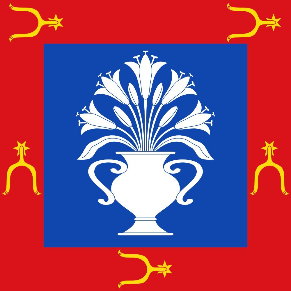 Drapeau Santa María de los Caballeros pour décoration de salle de mairie