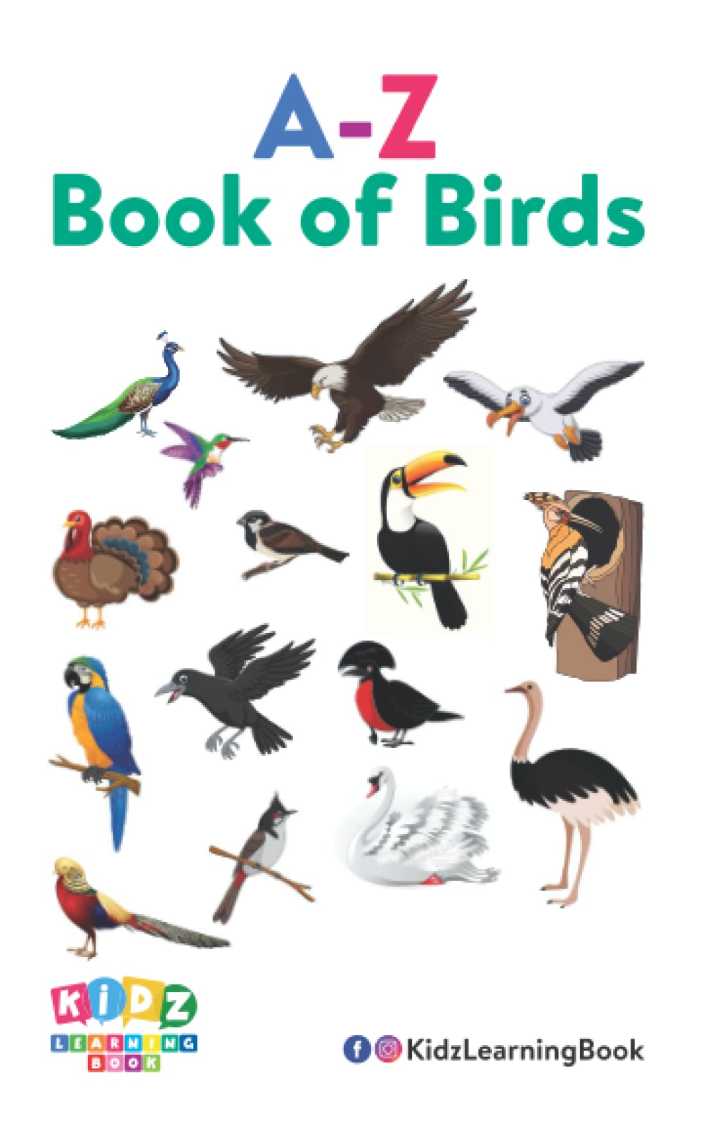 A to Z Books of Birds Name: A-Z Birds Name Paperback – Large Print, 20 September 2022
