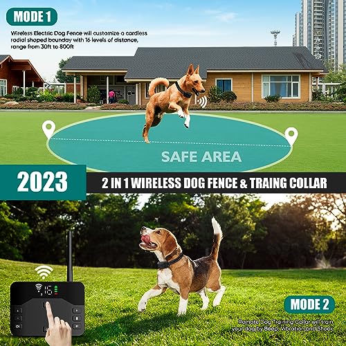 ABHY Electric Dog Fence System Components