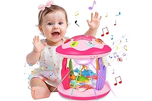 Baby Toys for 12 Month Girl