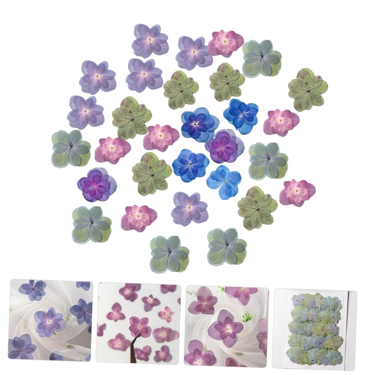 STOBAZA 150pièces Séchées Pressées pour Dried Flowers pour Décoration De Mariage Scrapbooking Et Création De Bijoux