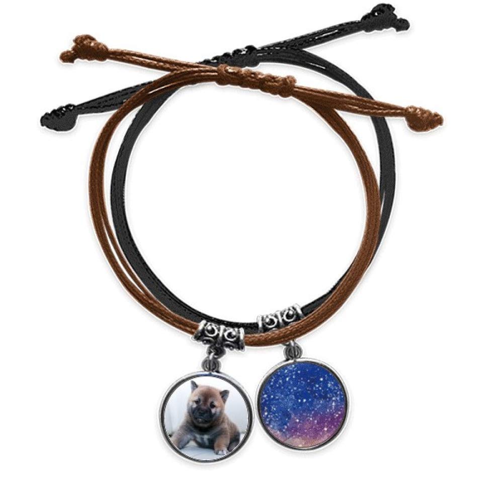 Pulsera de perro Pippy que conecta tu amor por las mascotas con la moda 3