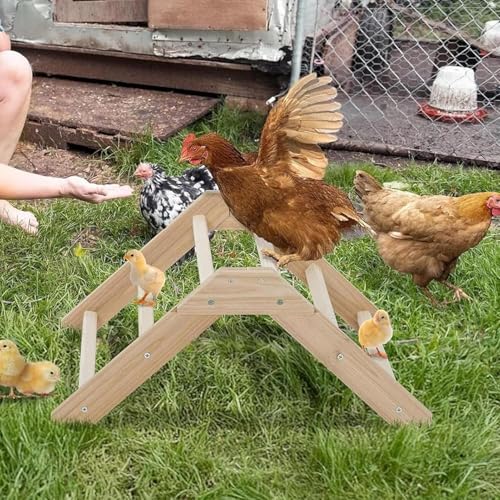 Perchoirs pour poules en bois avec système de montage facile