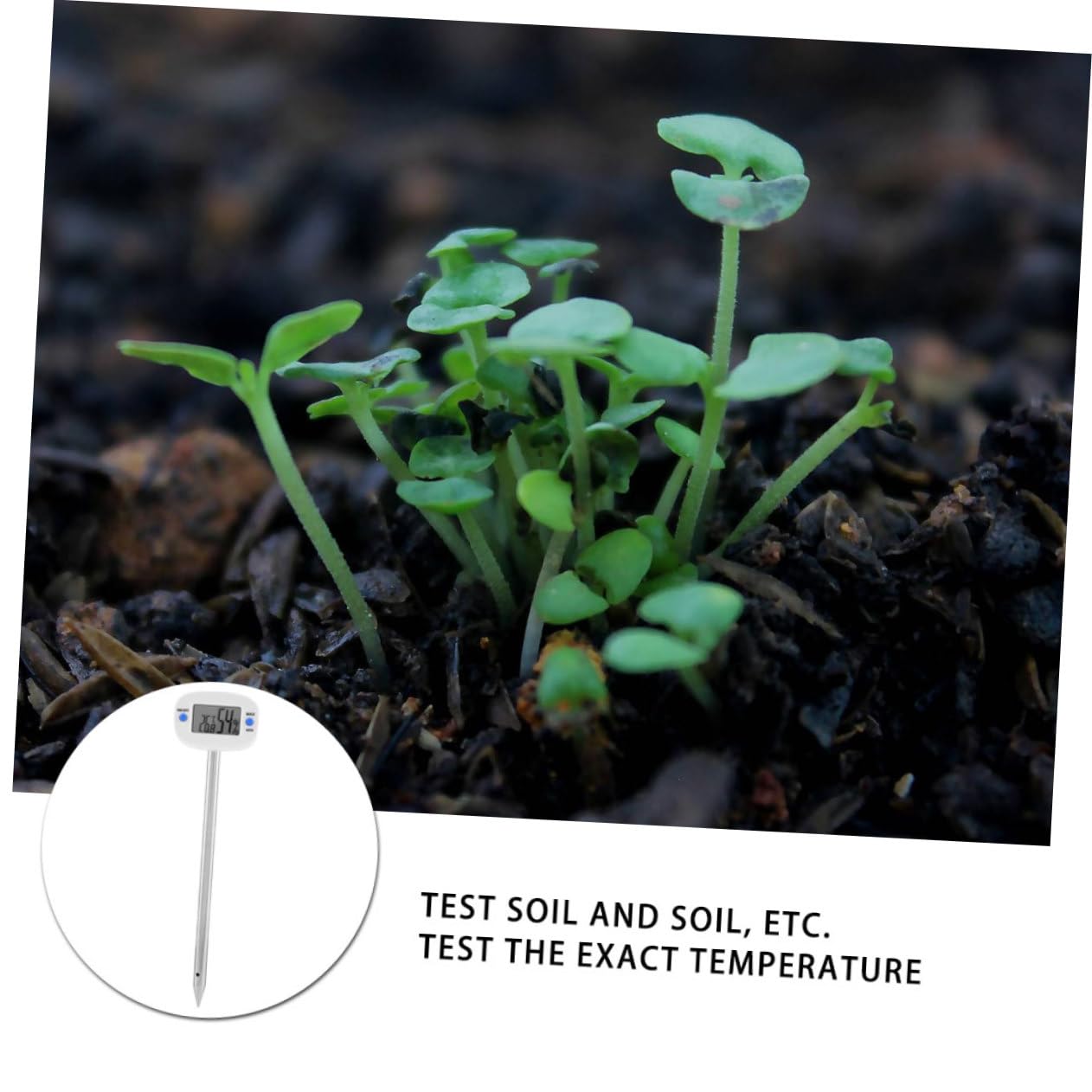 INOOMP 3pezzi Mini Termometro Igrometro Per Suolo Tester Di Temperatura e Umidità Per Giardinaggio Strumento Per Misurare Le Condizioni Del Terreno Di Piante e Fiori Facile Da Usare e