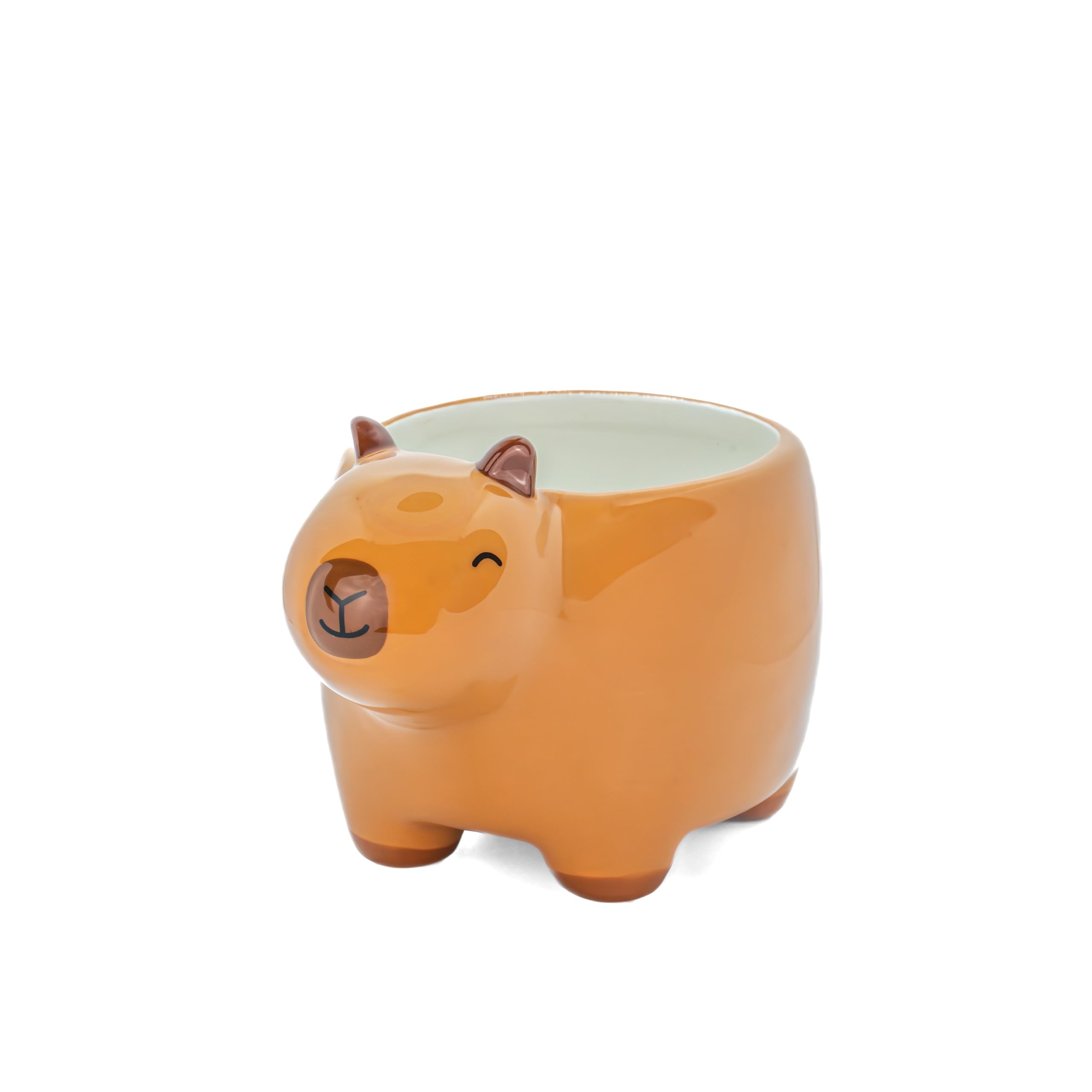 Capybara Planter 5055992749777