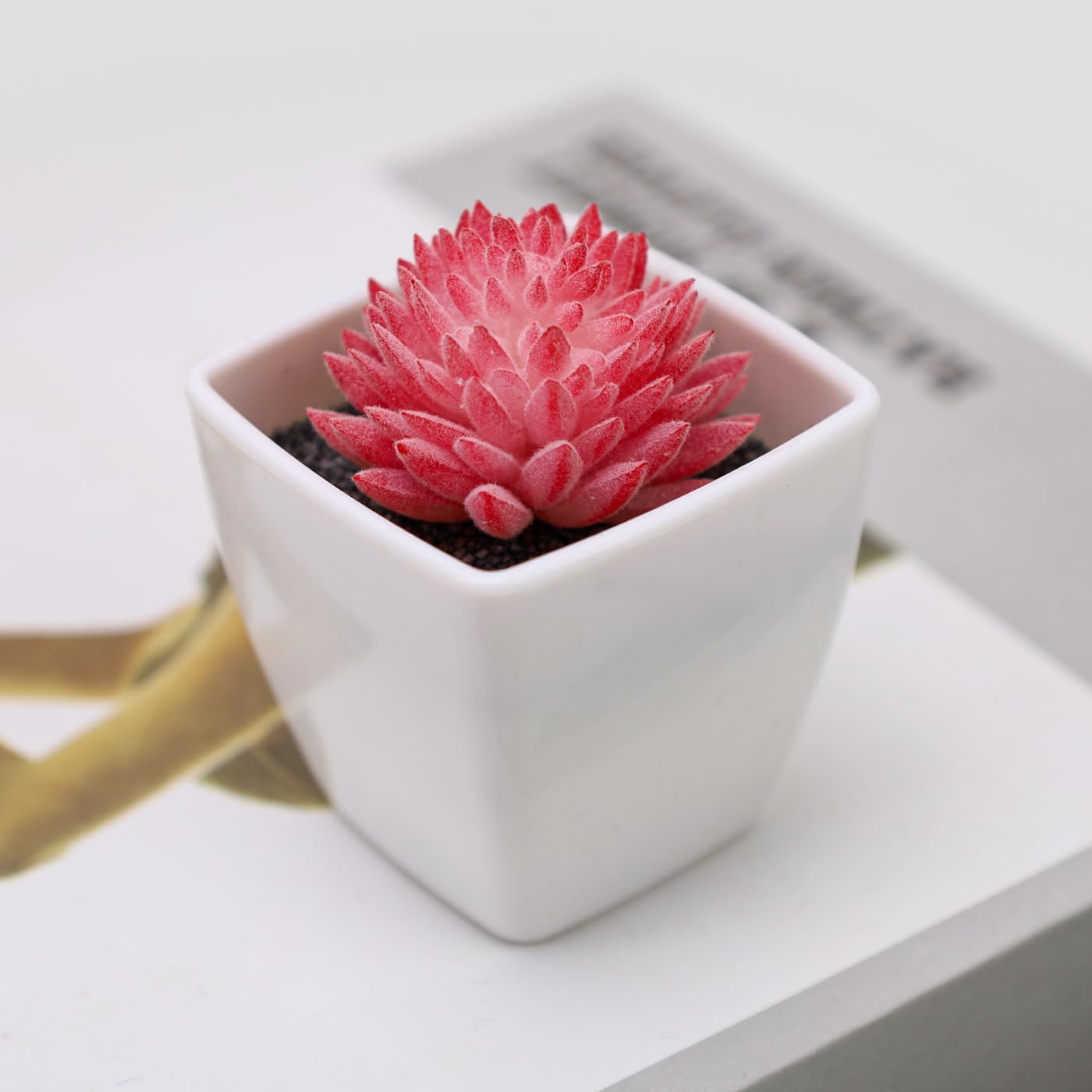 Woration 6Pcs Mini Artificial Succulent Plants Fake Plastic Succulents Potted for Garden Office Home Desk Decorations Floral Arrangement Craft- White Pots - Image 7