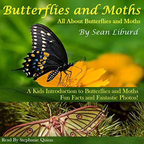 Butterflies and Moths All about Butterflies and Moths, a