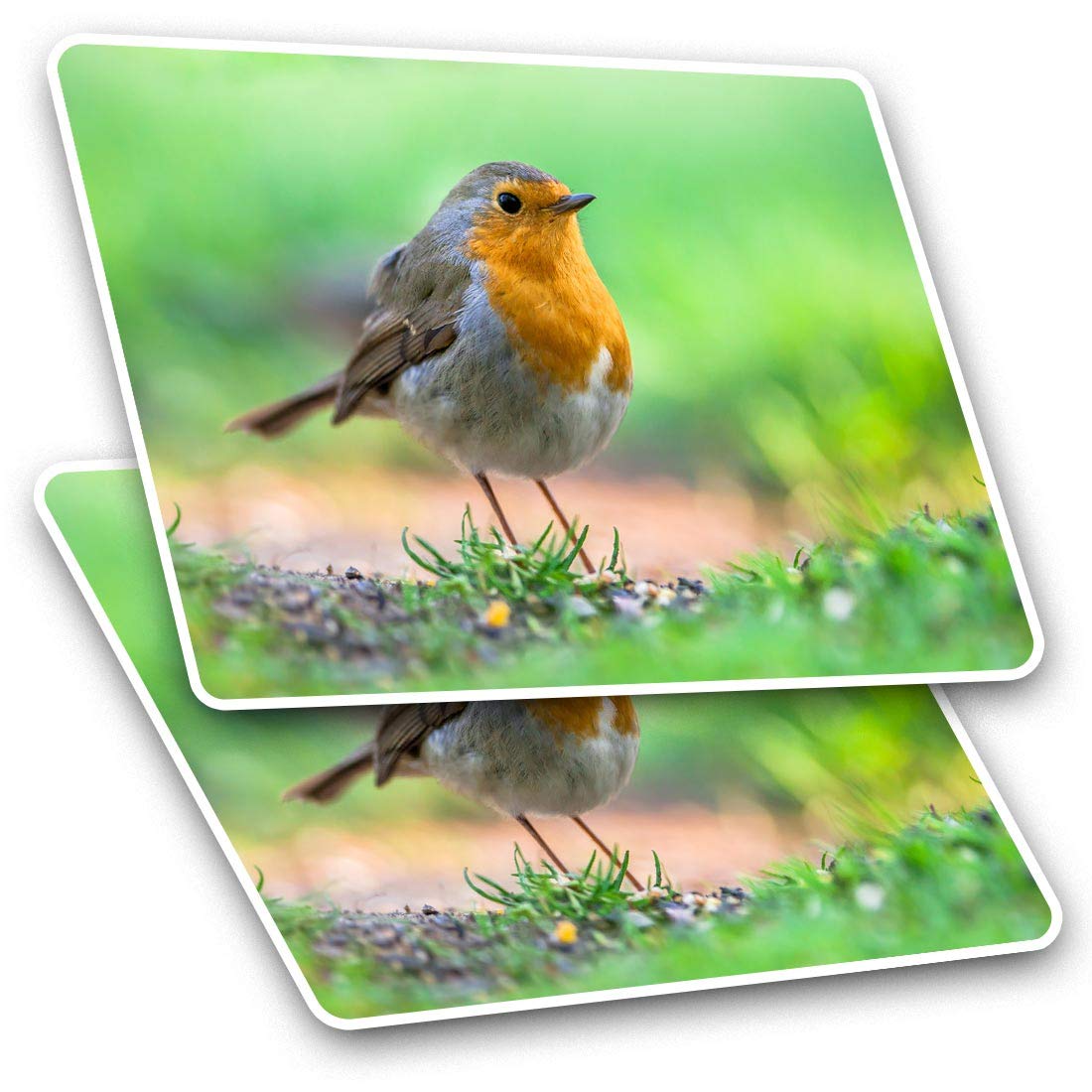 Rectangle Stickers (Set of 2) 10cm - Garden Robin Bird Birds Christmas Fun Decals for Laptops,Tablets,Luggage,Scrap Booking,Fridges, #15509