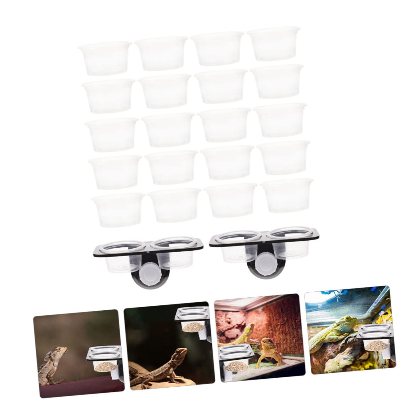 BESPORTBLE 4 Juegos Tazón De Reptil Comida De Gecko Crestado Plato De Agua De Reptil Suministros para Tanques De Reptiles Dispensador De Agua para Reptiles Tanque De Tortuga El Plastico Black