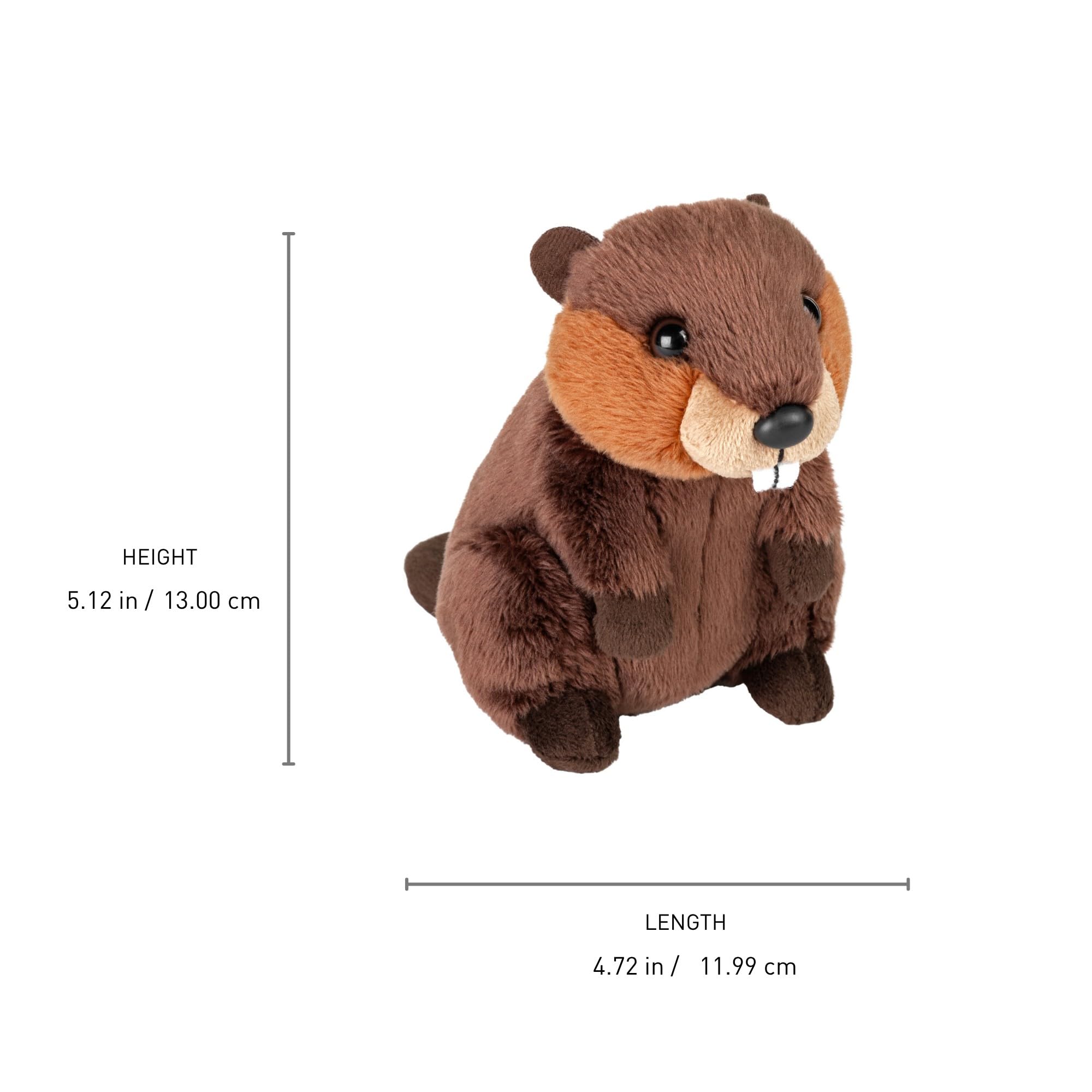 Amazon.com: Wild Republic Pocketkins Beaver Stuffed Animal - 5
