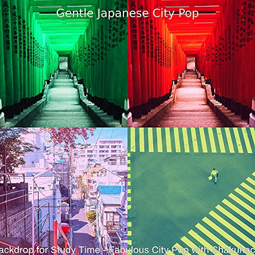 Gentle Japanese City Pop