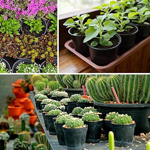Ohuhu Plastic Plant Pots Seed Pots 80 Pack, 10 cm Extra-Thickened Nursery Pots, Small Plant Pots with Drainage Holes & Plant Labels, Small Starter Planter Flower Pots for Seedling Gardener