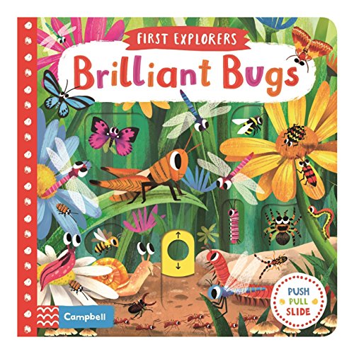 Preisvergleich Produktbild Brilliant Bugs (Campbell First Explorers, 8)
