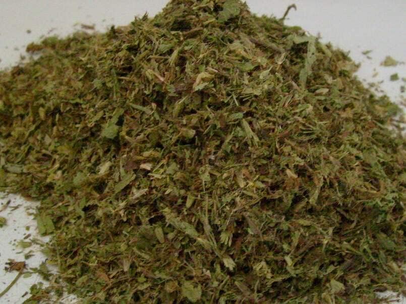 Miniatura 2 de Semillas de stevia (más de 20 semillas)  Sin OGM  Semillas de flores de hierbas de frutas vegetales para plantar  Paquete de invernadero de jardín