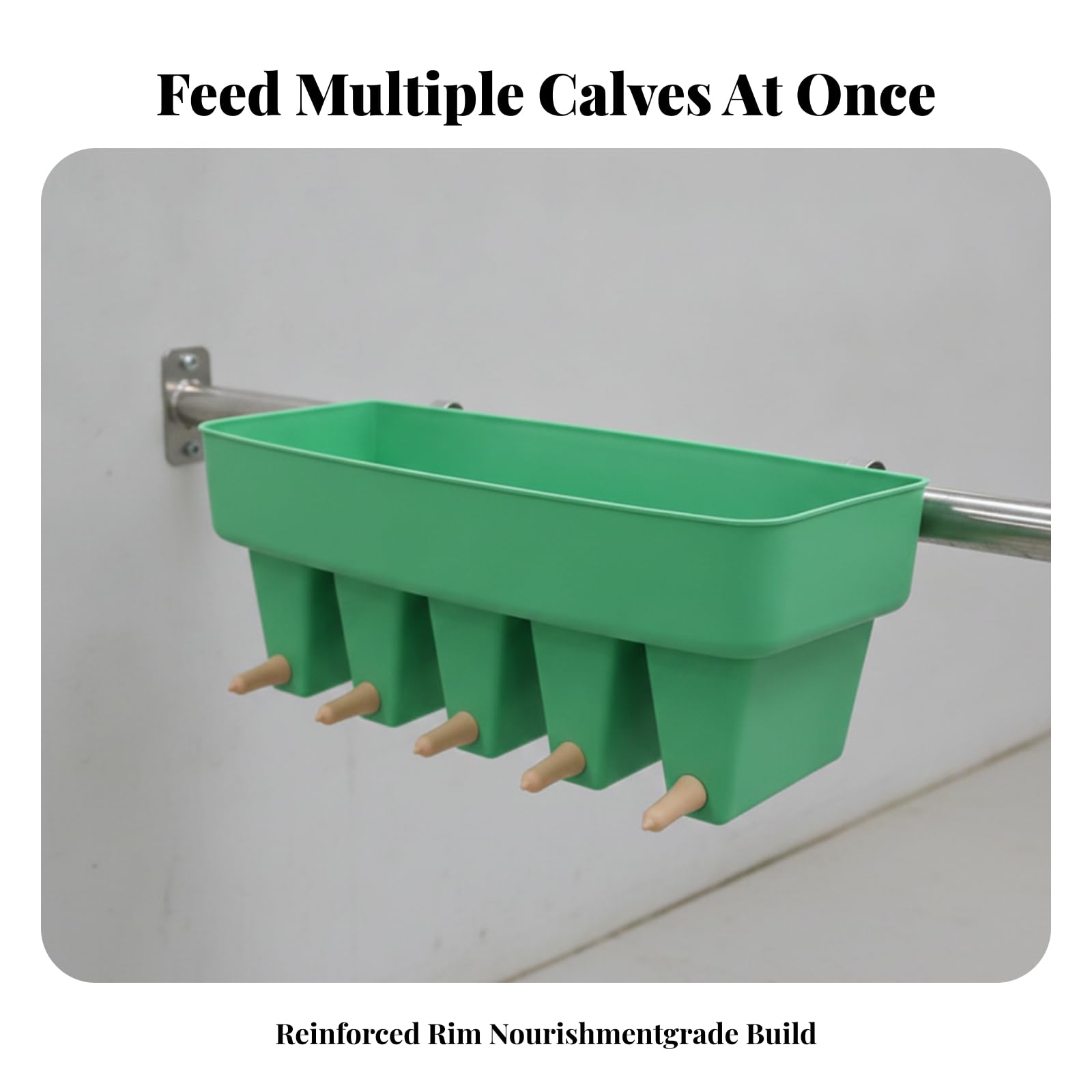 Secchio per l'alimentazione dei Vitelli | Design Robuo e Facile da Maneggiare, Secchio per Prodotto caseario Vitelli in Plaica Alimentare, Pratico, Fienili, Secchio 5 Ugelli