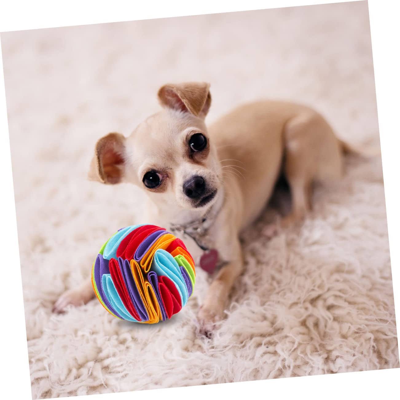 3stücke Pet Dog Sniff Toy Interaktives Futterspielzeug Für Hunde Bunte Kauspielzeuge Aus Sicherem Filz Zahnreinigung Und Spielspaß Für Welpen Und Erwachsene Hunde