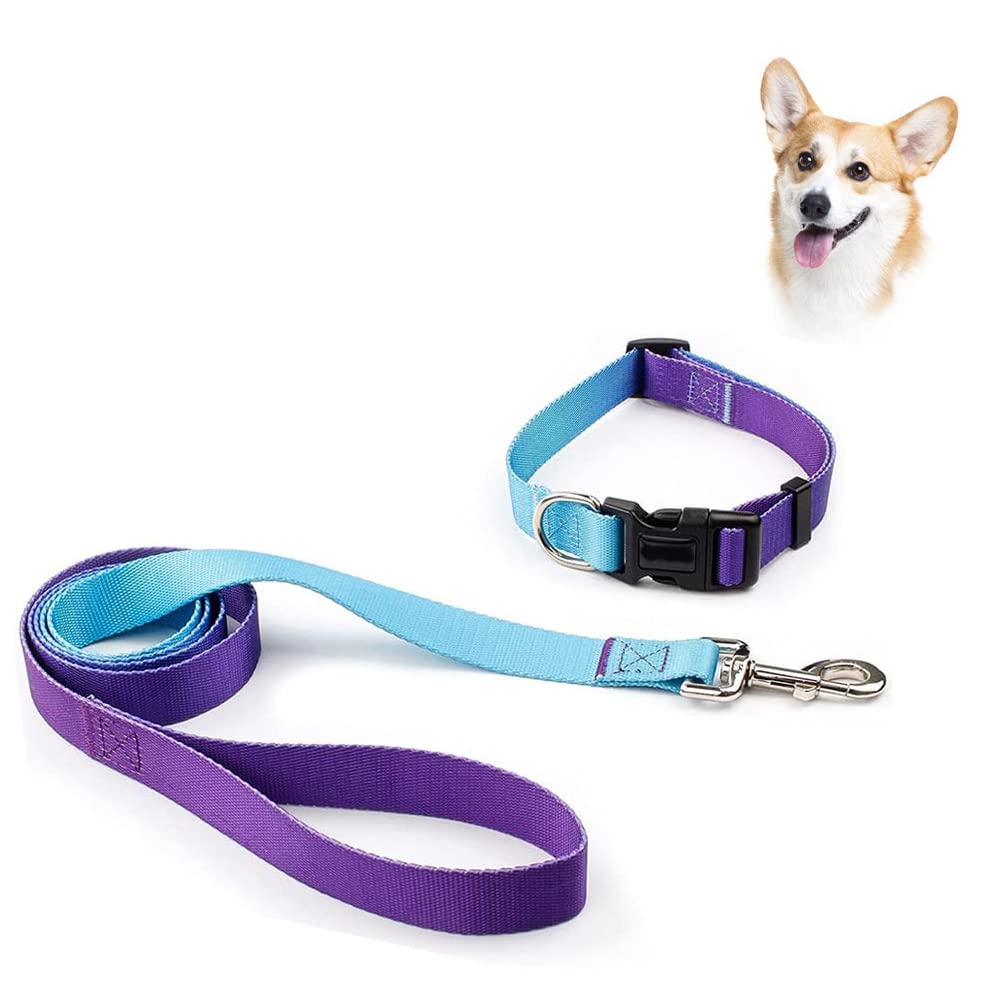 KAKKOII Dog Collar and Leash Set Dog Leash Safety Locking Buckle Nylon Pet Collars Gradient Printing Adjustable Buckle Outdoor Training and Running for mall Medium Large Dogs (L, Blue)