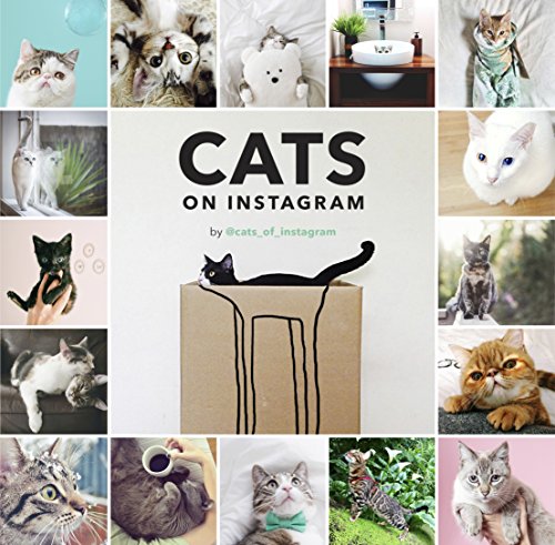 Télécharger Cats on Instagram (English Edition) PDF