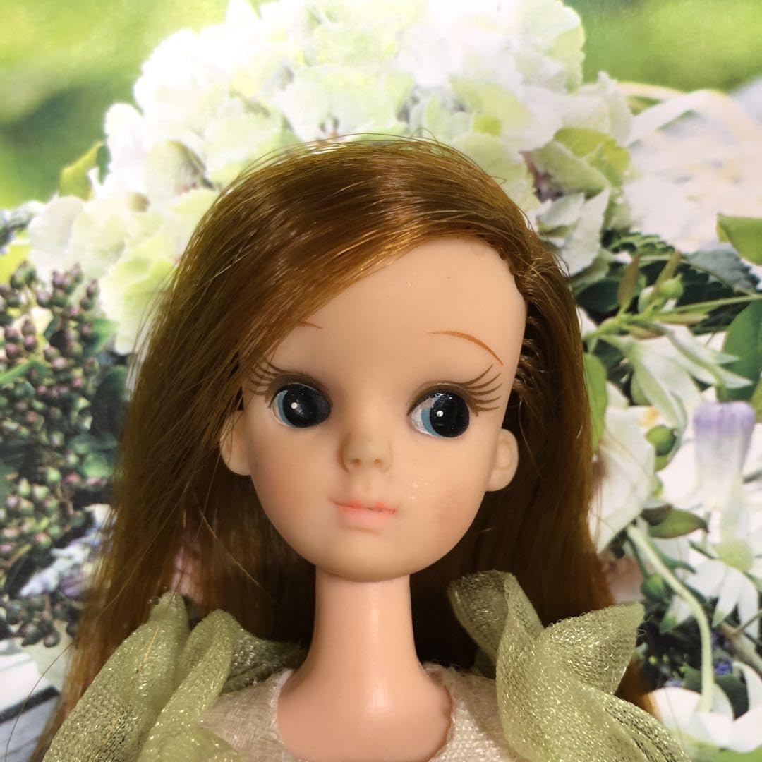 Amazon | 当時物 1970年 初代レディリカ 美 ダッコタグドレス髪色 