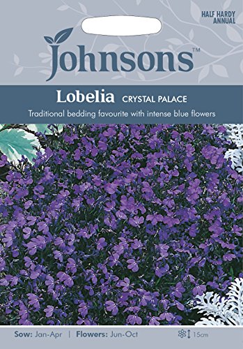 Johnsons LOBELIA Crystal Palace