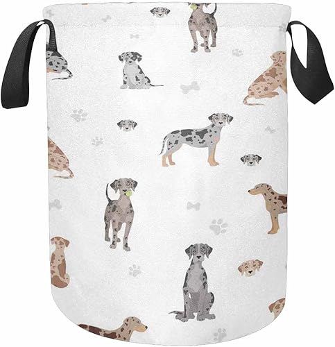InterestPrint Dog with Different P-oses Collapsible Large Clothes Hamper Storage Freestanding Laundry Basket Collapsible Waterproof Clothes Hamper
