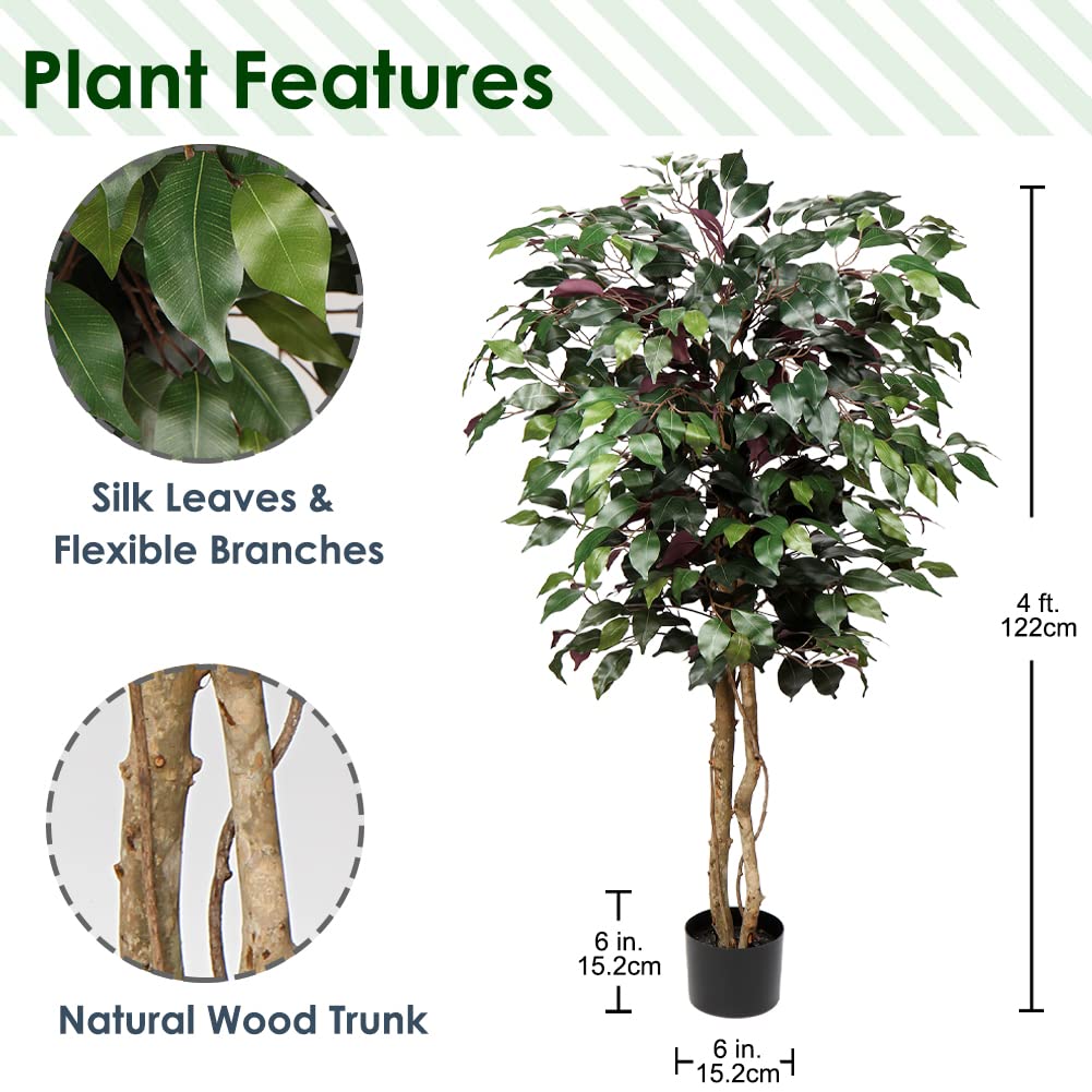 monstera minima giftig katzen Monstera Minima – zakrslá rostlina švýcarského sýra main image 1