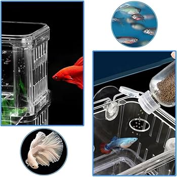 Amazon | Loopunk 2個グッピー 繁殖隔離ボックス メダカボックス