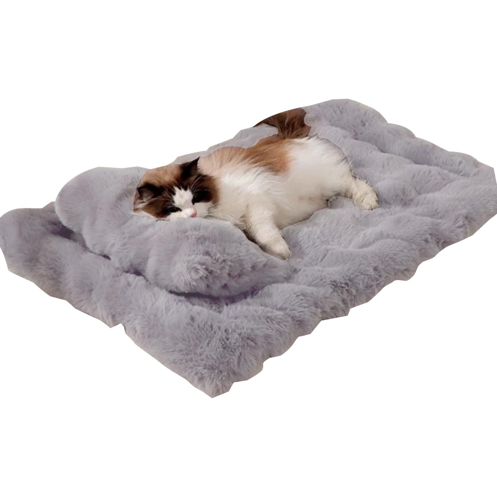 Matelas pour chaton et grand chat lit doux avec oreiller pour panier et chenil