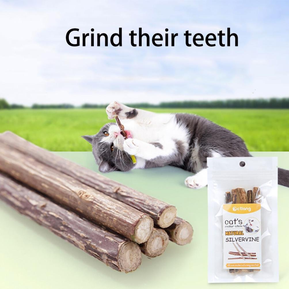 cat dental chew sticks